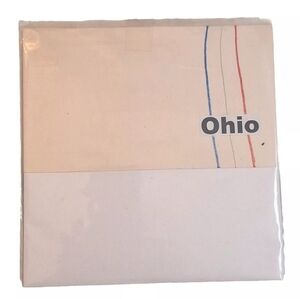 Ohio 7" Vinyl Record Art Indie Punk Retro Handcrafted DIY Rare Htf Oop 54 Of 500